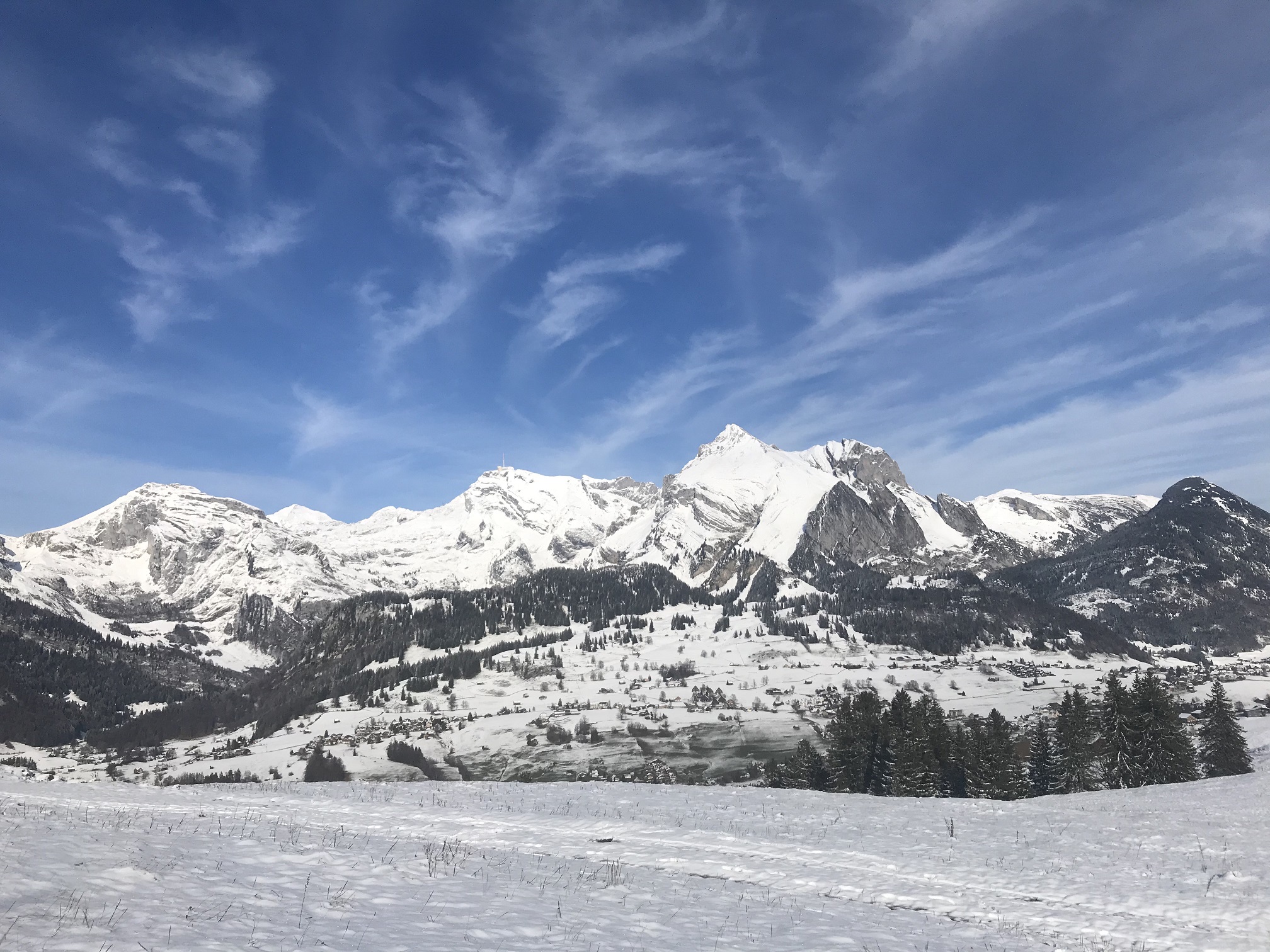 Schlussquartal rettet das Anlagejahr